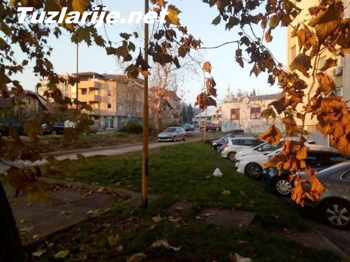 Tuzlarije