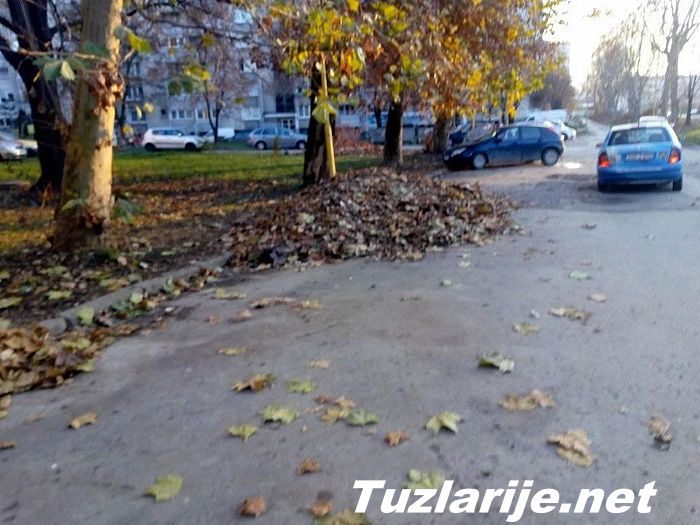 Tuzlarije