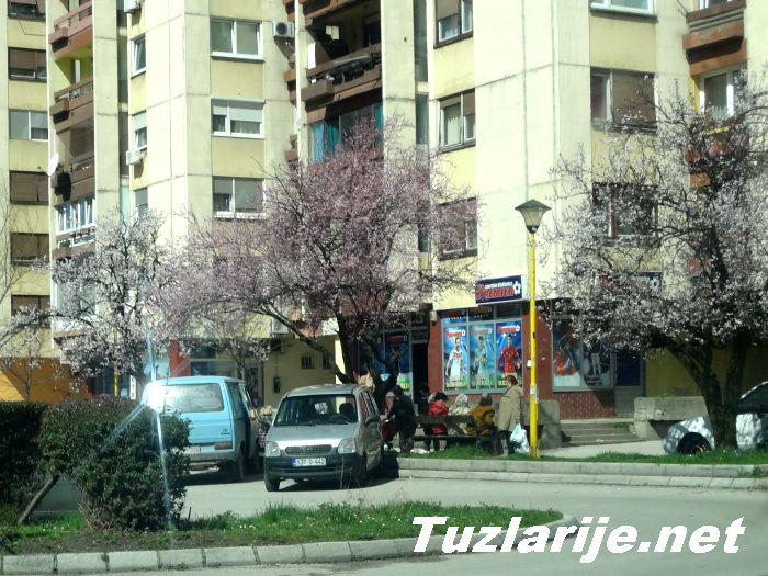 Tuzlarije