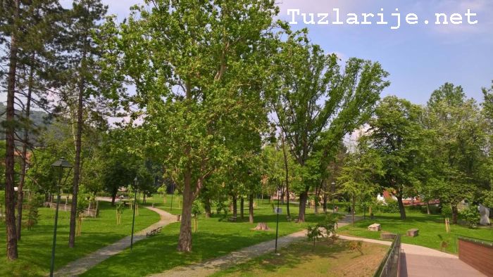 Tuzlarije