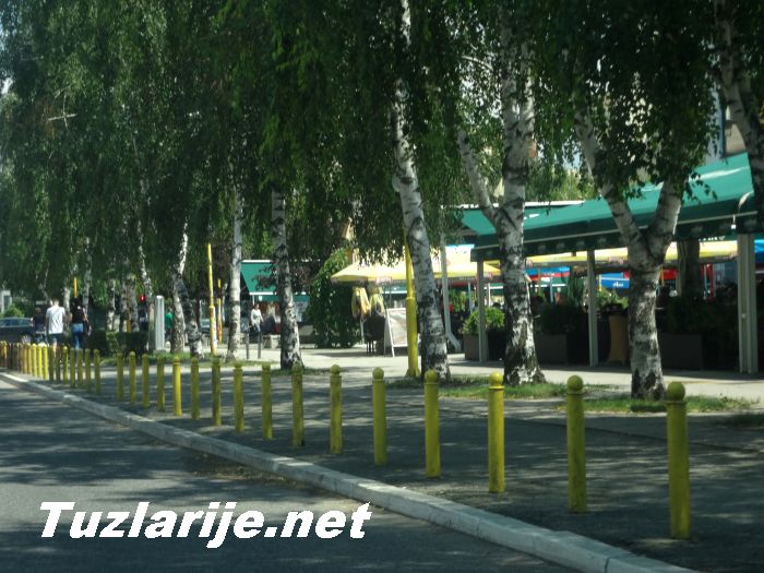 Tuzlarije