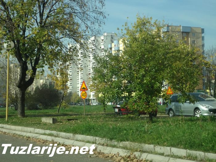 Tuzlarije