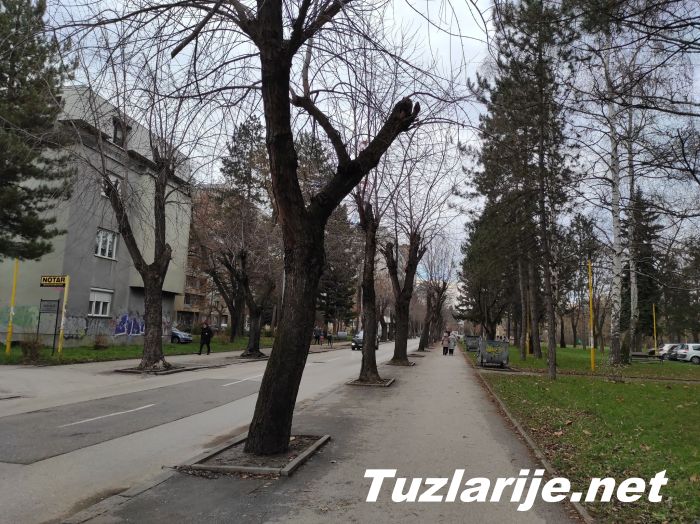 Tuzlarije