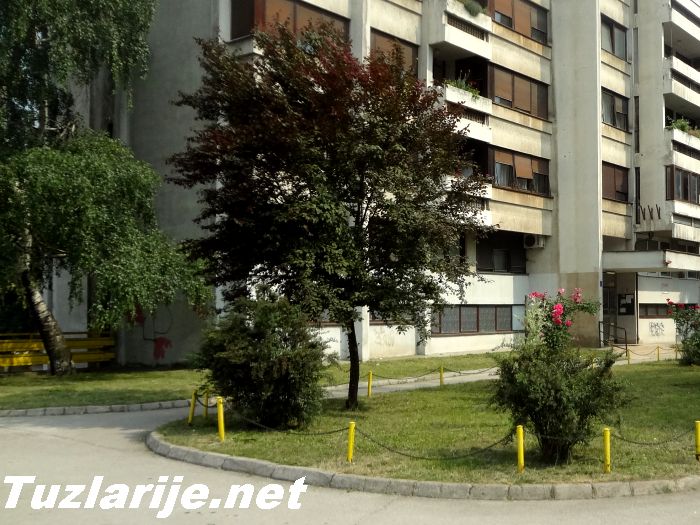 Tuzlarije