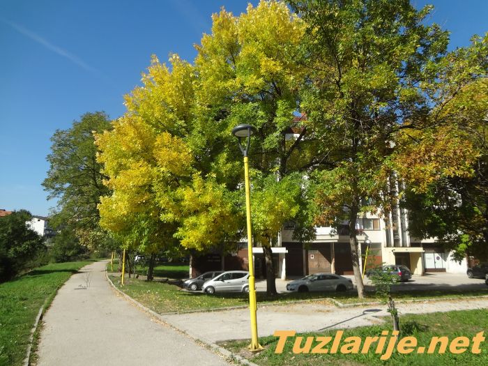 Tuzlarije