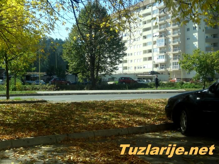 Tuzlarije