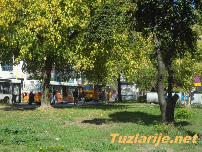Tuzlarije