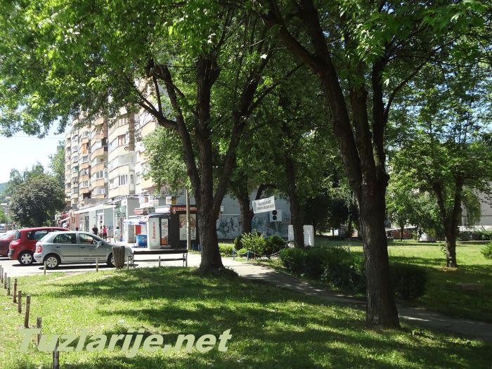 Tuzlarije