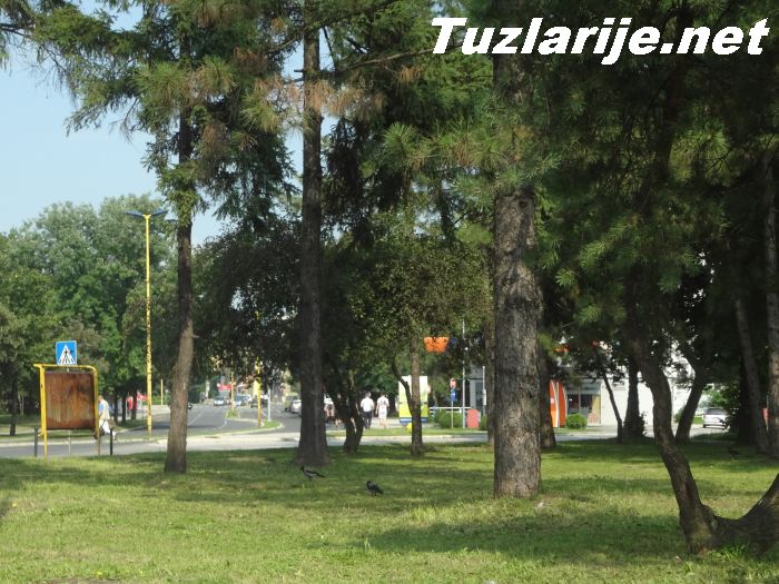 Tuzlarije