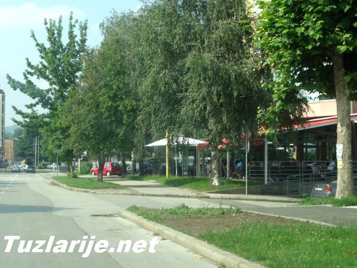 Tuzlarije