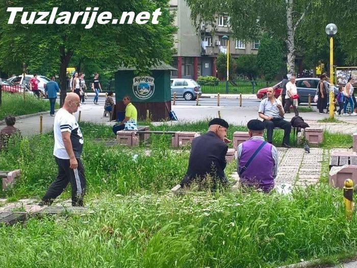Tuzlarije