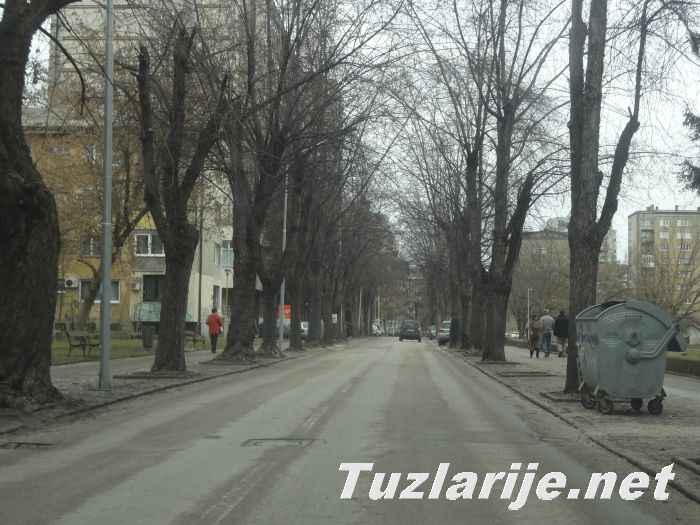 Tuzlarije