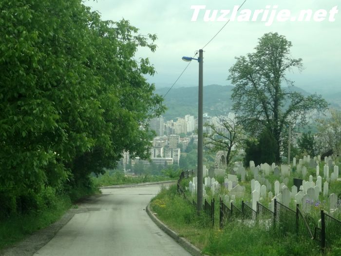 Tuzlarije