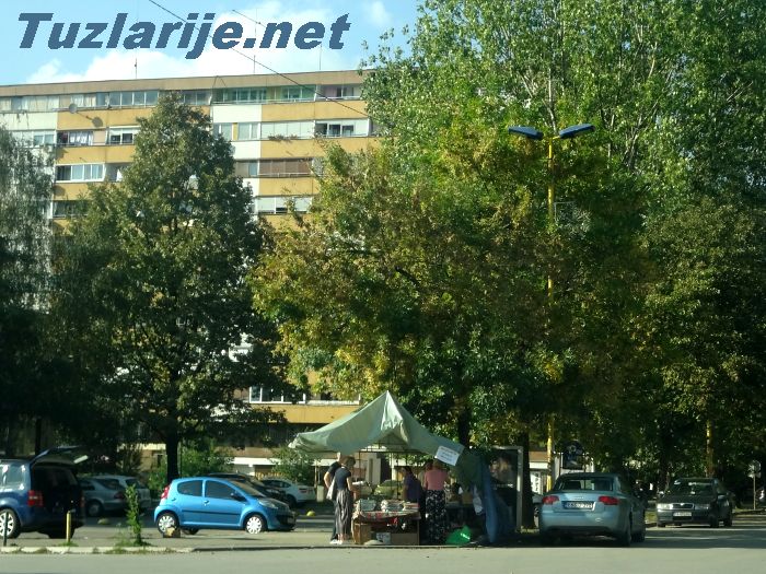 Tuzlarije