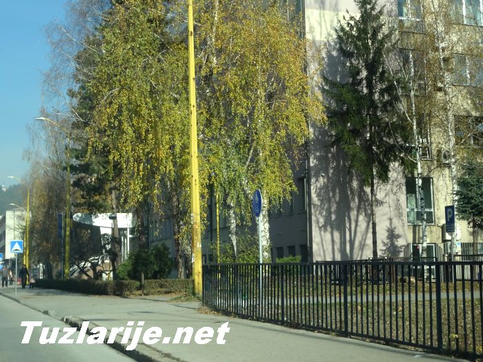 Tuzlarije