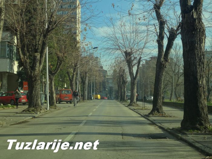 Tuzlarije