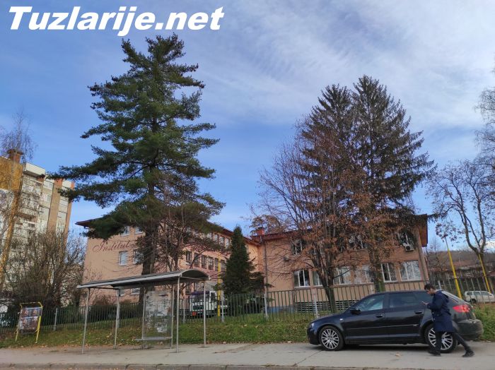 Tuzlarije