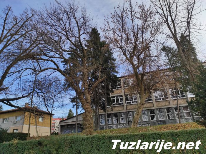 Tuzlarije