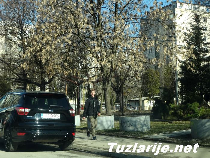 Tuzlarije
