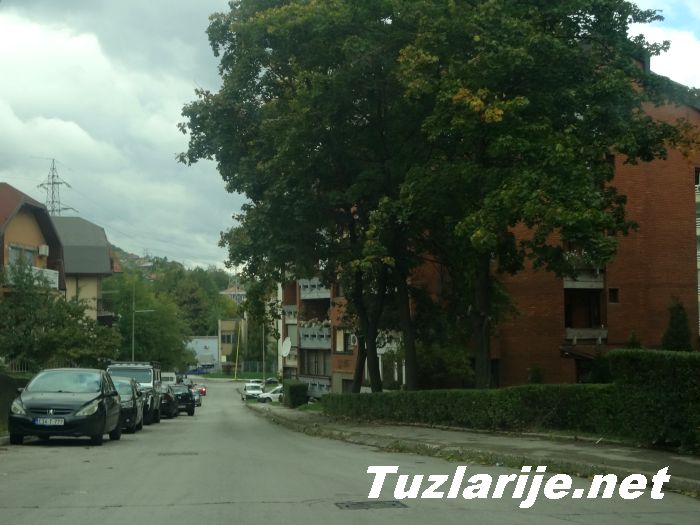 Tuzlarije