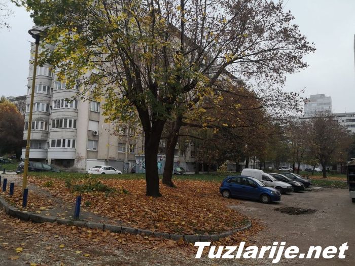 Tuzlarije