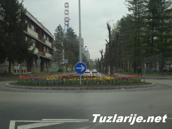 Tuzlarije