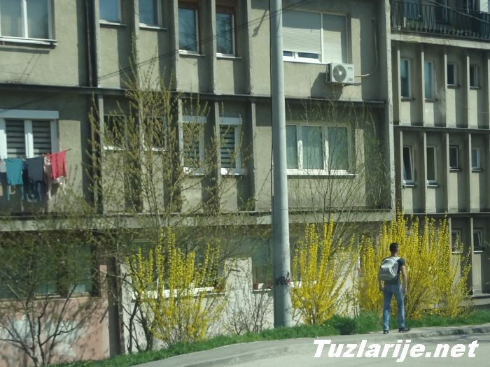 Tuzlarije