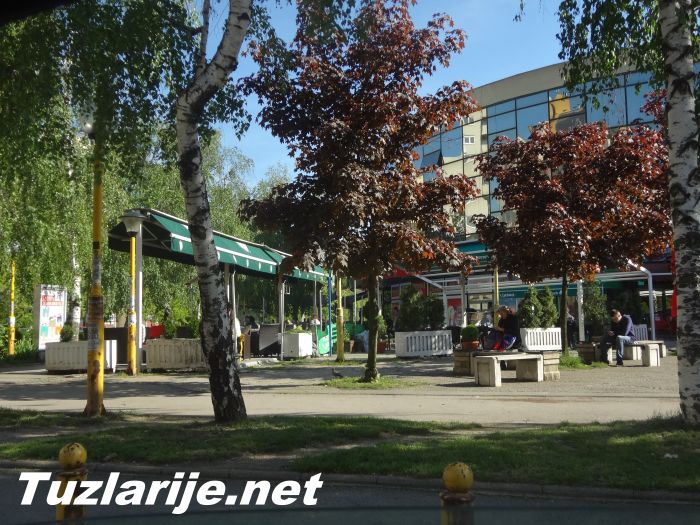 Tuzlarije