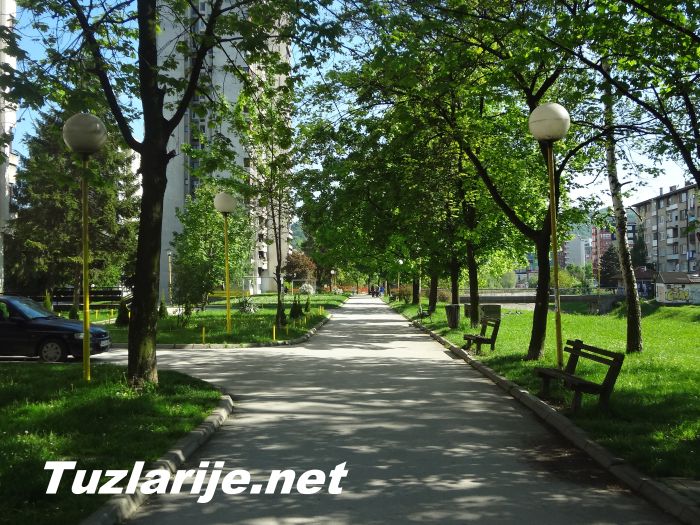 Tuzlarije