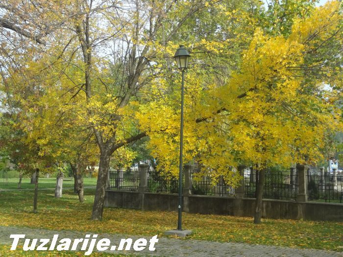 Tuzlarije