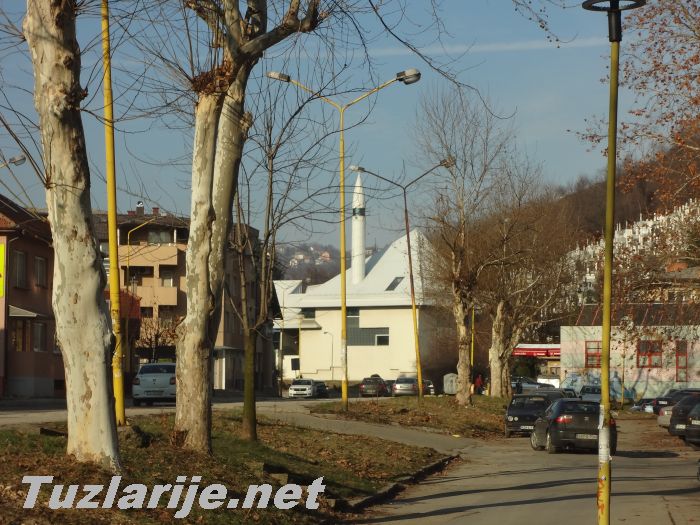 Tuzlarije