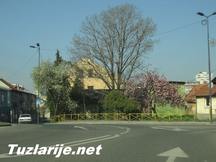 Tuzlarije