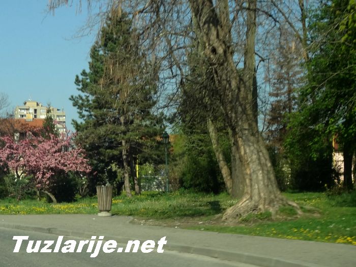 Tuzlarije