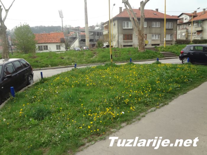 Tuzlarije