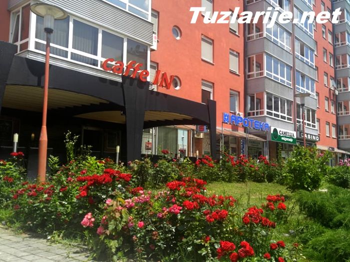Tuzlarije