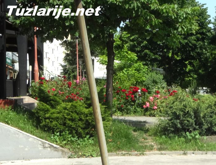 Tuzlarije