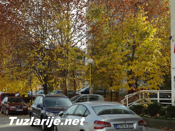 Tuzlarije