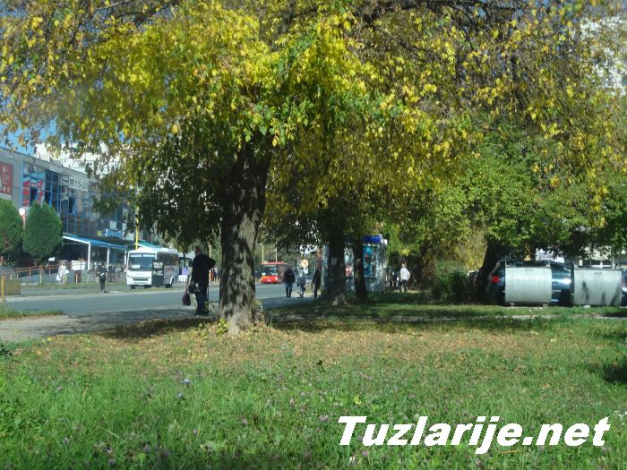 Tuzlarije