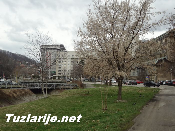 Tuzlarije