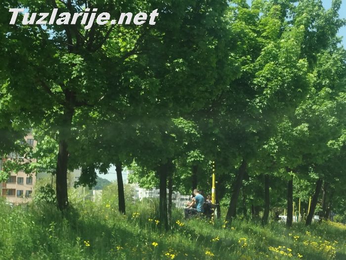 Tuzlarije