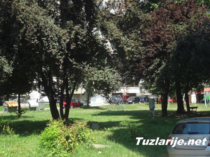 Tuzlarije