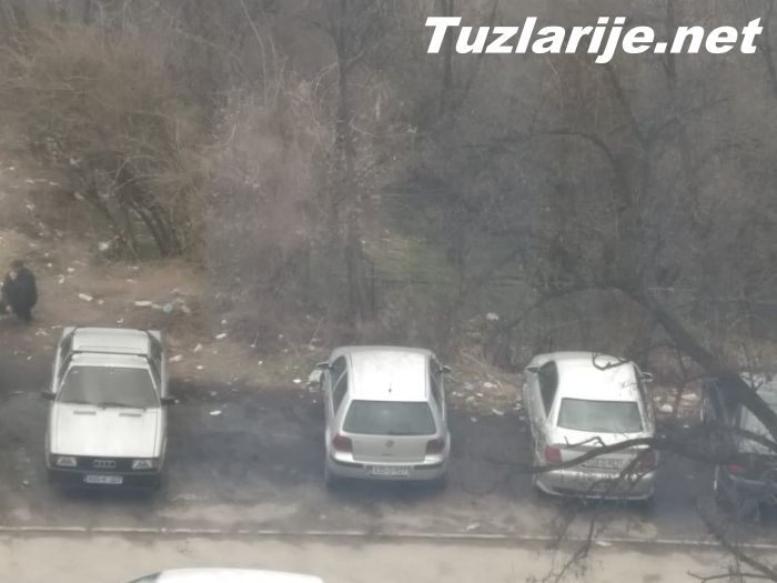 Tuzlarije