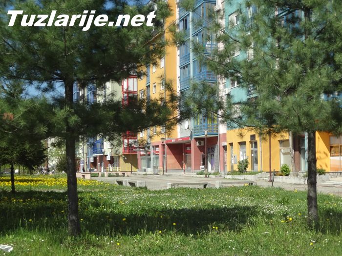 Tuzlarije