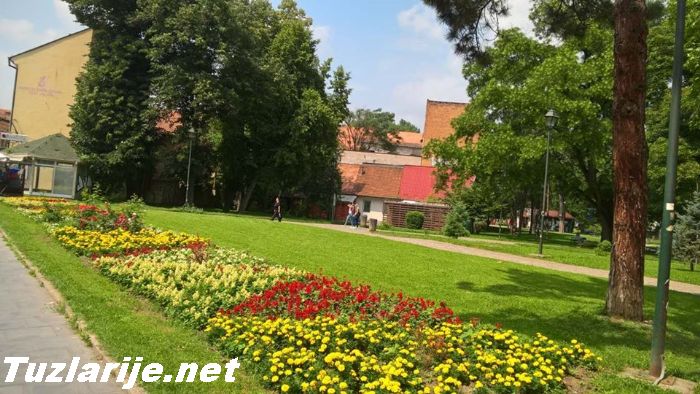 Tuzlarije