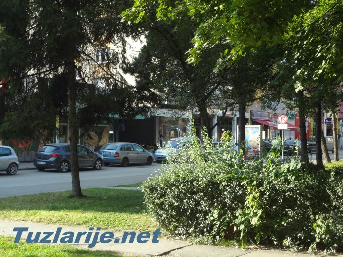 Tuzlarije