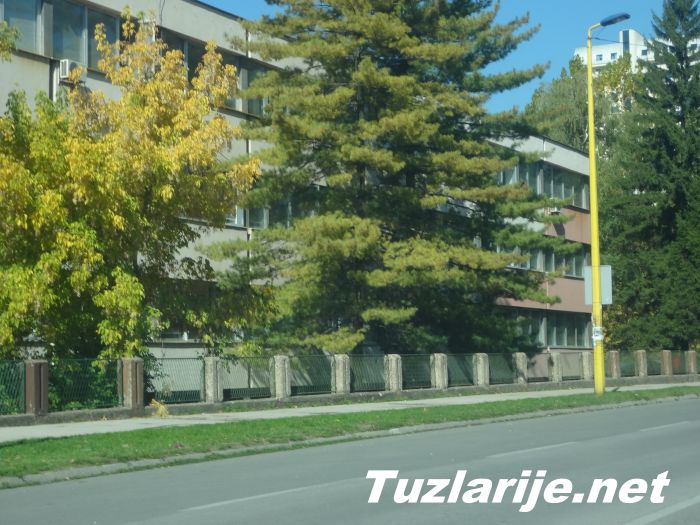 Tuzlarije