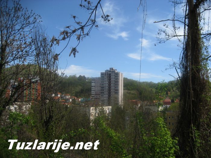 Tuzlarije