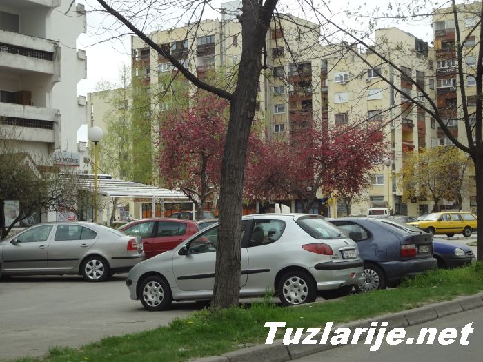 Tuzlarije