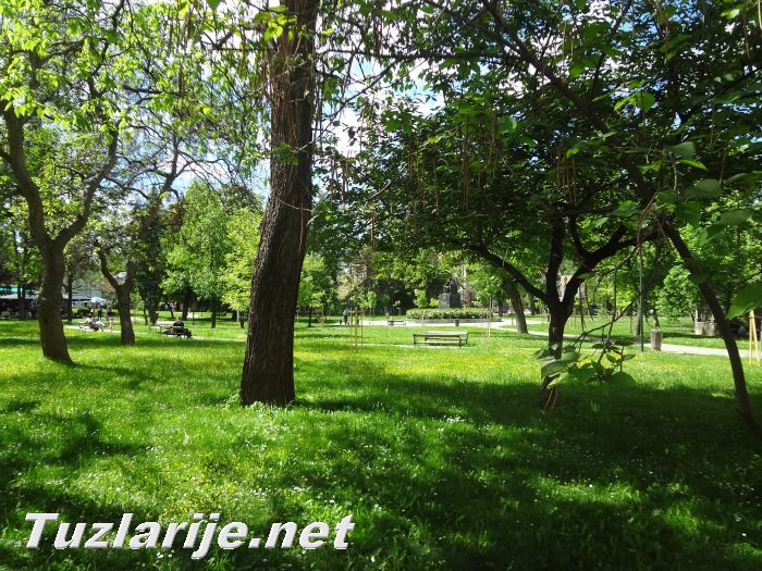 Tuzlarije