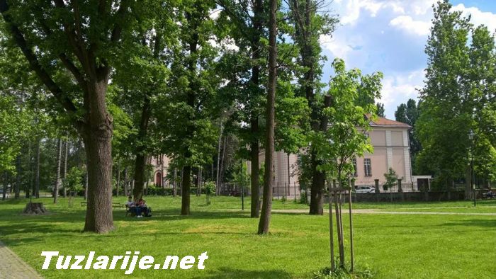 Tuzlarije